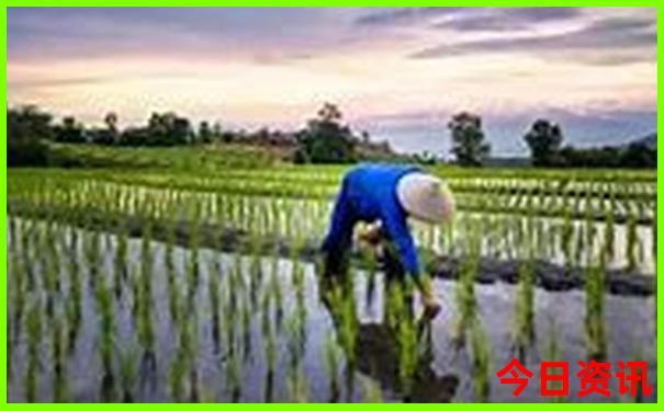 七月份适合哪里旅游